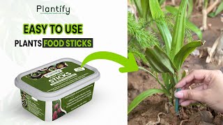 पौधों की देखभाल करने का सबसे आसान उपाय  Feed your plant with quotPlantify Plant Food Sticksquot [upl. by Meng999]