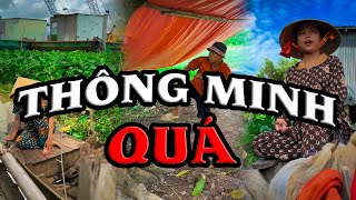 Thông Minh Quá videogiaitri vochongson nguyenhuyvlog [upl. by Notak]