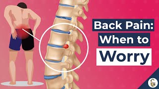 Low Back Pain Causes and 7 Worrying Signs [upl. by Laehcim]