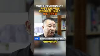 中國野豬致害省份多達26個！為啥不能把野豬肉擺上餐桌 ？ [upl. by Nirehs]