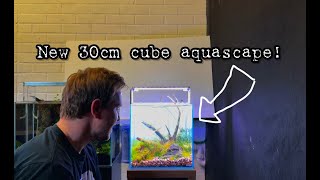 30cm Cube Aquascape [upl. by Lapotin688]