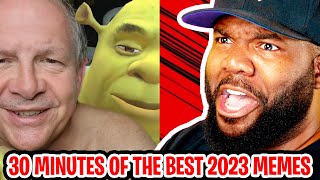 30 minutes of The FUNNIEST Try Not To Laugh Memes of 2023 REACTION [upl. by Stephine]