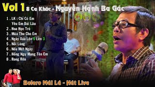 Tổng Hợp 8 Ca khúc  Nguyễn Hạnh Ba gác HÁT LIVE Bolero Mái Lá [upl. by Oiratnom]