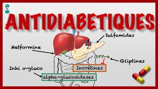 Les Antidiabétiques dans le Diabète et leur Pharmacologie [upl. by Annavoeg]