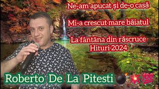 ROBERTO DE LA PITESTI 💥 COLAJ MUZICA DE PETRECERE 2024 💢 SPECIAL PT LILI [upl. by Aroled943]