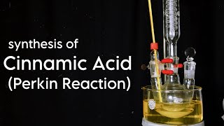 Cinnamic Acid  Organic Synthesis  Perkin Reaction [upl. by Ativoj901]