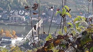 Biorégion ArdennesEifel 36 Panorama sur COCHEM Ardenne amp Hunsrück forment la Vallee de Moselle [upl. by Aseela]