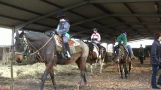 WESTERNREITEN im SPESSART  Reiterhof Sauer  Made by kanukassel [upl. by Gardia]