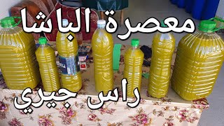 معصرة زيت الزيتون الباشا راس جيري نواحي مكناس [upl. by Binah]