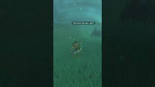 The Lost Pilgrimage zelda botw breathofthewild nintendo nintendoswitch [upl. by Lorne435]