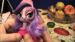 Young Justice amp Littlest Pet Shop 2012 Happy Meal Toy Review by Bins Toy Bin [upl. by Enelhtak]