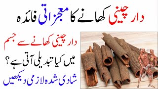 Cinnamon Health Benefits  Daar Cheeni Dalchini Ke Fayde  Islam Advisor [upl. by Keemahs]