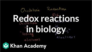 Oxidation and reduction review from biological pointofview  Biomolecules  MCAT  Khan Academy [upl. by Aerahs]