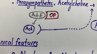 Organophosphate Poisoning [upl. by Ham386]