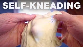 How an autolyse kneads your dough for you [upl. by Evelc]