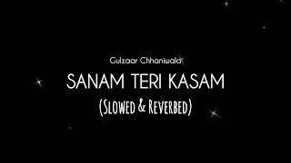 Sanam Teri Kasam Slowed amp Reserved Gulzaar Chhaniwala New Haryanvi Song 2024 [upl. by Adaha596]