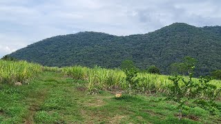 oaxaca y su naturaleza 🇲🇽🙏❤️amor oaxaca mexico naturaleza [upl. by Basile364]