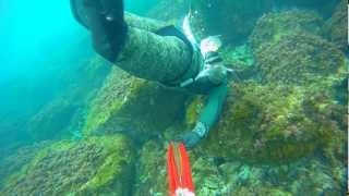 Chasse SousMarine Corse Spearfishing Avril 2013 [upl. by Sitnerp]