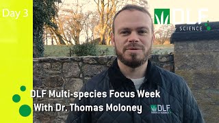 Day 3 Multi Species Swards Research in Ireland  DLF Multispecies Focus Week [upl. by Ivie]