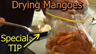 How to Preserve Mangoes by Drying in a Dehydrator  with Special TIP [upl. by Kubiak221]