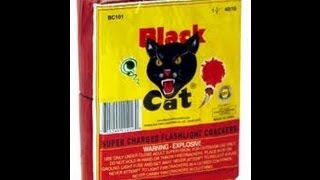 Year 2 Opening Half Brick Firecrackers  Black Cat [upl. by Neala543]