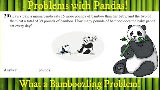 Solving 2019 Noetic 20 for 2nd grade A Panda Problem [upl. by Aihsena]