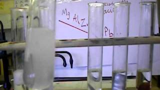 Y10 Reactivity Series Reacting metals with dilute acid  Part 1 of 2 [upl. by Errick]