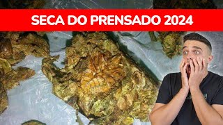 A seca do prensado de 2024 está chegando [upl. by Noit]