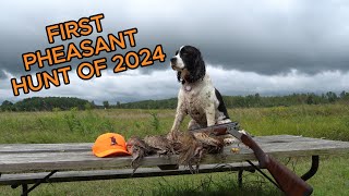 First Pheasant Hunt of 2024 [upl. by Yentruoc]