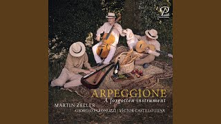 Violin Sonata No 1 in D Major Op posth 1371 D384 Arr for Arpeggione by Martin Zeller [upl. by Anitteb]