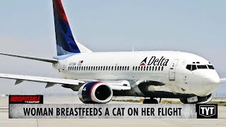 Woman Breastfeeds A Cat On Her Flight [upl. by Joelly]