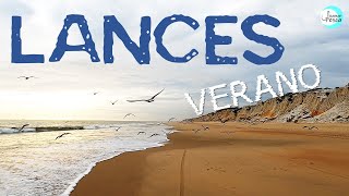 Pescamos 7 Especies Diferentes desde PLAYA LANCES de VERANO [upl. by Combes]