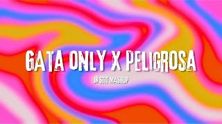 GATA ONLY X PELIGROSA FloyyMenor Jr Stit Mashup [upl. by Cletis]