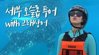 세부 오슬롭 투어🐋 거대한 고래상어와 가와산 캐녀닝 졸리비까지 Cebu Oslob with Whale Shark [upl. by Jaala818]