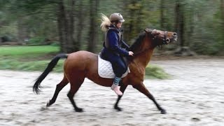 Kinderpony Arielle wieder reitbar Teil 2 vom Fall Arielle auf Hof Eicheneck [upl. by Emmy]