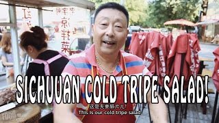 Chinese Street Food in Sichuan  Cold Tripe Salad [upl. by Akyre163]