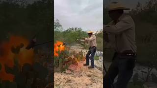 How Cactus Becomes Food for Cattle in the Desert cactus desert telugufacts shorts telugunews [upl. by Yuk112]