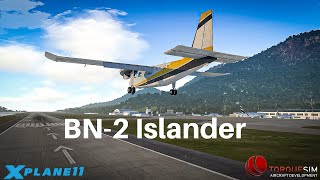 X Plane 11  Torquesim BN 2 Islander [upl. by Mcclees]