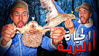 الحياة البريةتحدي صيد الأرنب🐇والحجل🐗🦔البري يوم كامل في البرية أشنو وقع ميمكنش 😱🏹 [upl. by Ahsyla]