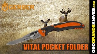 Gerber Vital Pocket Folding ExchangeABlade Hunting Knife  OsoGrandeKnives [upl. by Onilegna]