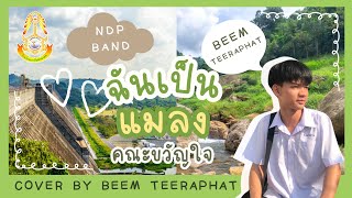 คณะขวัญใจ  ฉันเป็นแมลง Cover By Beem NDP [upl. by Berlinda600]