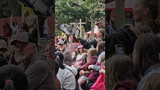 Pennsylvania Renaissance Faire 2024 renaissancefaire parenfaire fyp [upl. by Dahraf135]