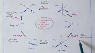 Wilkinsons catalyst  Hydrogenation of alkenes [upl. by Luciano436]