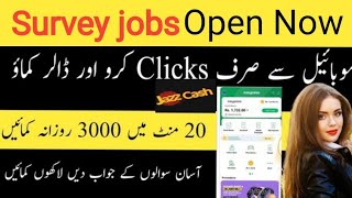 Survey Apps To Make Money  Online Survey Jobs In Pakistan [upl. by Montford]