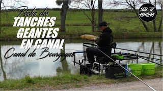 PECHE des TANCHES GEANTES  CANAL de BOURGOGNE [upl. by Yerhpmuh]