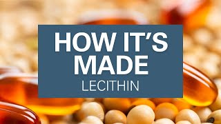 What is Lecithin A Natural Emulsifier In Many Everyday Foods [upl. by Reviel]