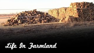 How I Stack My Firewood and Why I Do it This Way [upl. by Rorry]