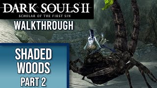 Shaded Ruins  DS2 WALKTHROUGH  Part 14 [upl. by Ahsaf427]