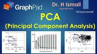 Principal Component Analysis PCA Using GraphPad Prism  Big Data Statistics  Complete Tutorial [upl. by Zelten]