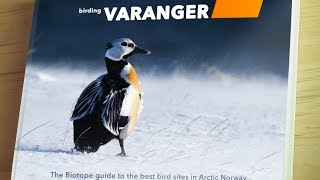 Birding Varanger guide book story [upl. by Ebert]